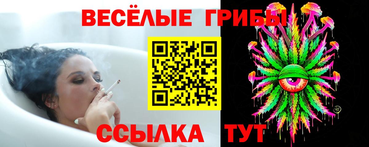 Галлюциногенные грибы GOLDEN TEACHER  Вход с VPN  Тимашёвск 